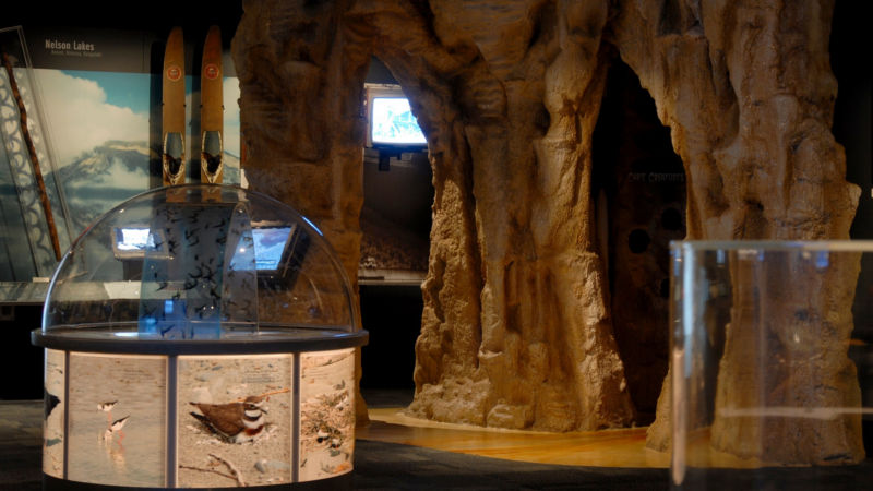 Explore the Nelson Provincial Museum and discover Nelson and Tasman regions' history, from its geological origins to the history and culture of its individuals and families...